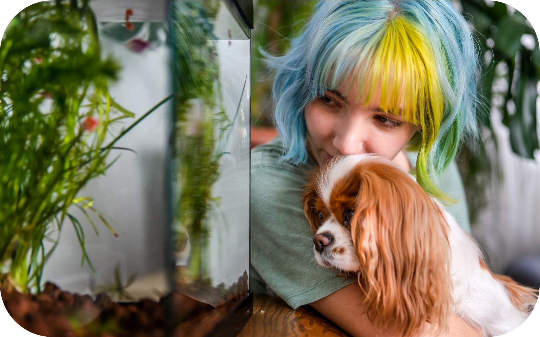 Person with colorful hair hugging a dog near fish tank