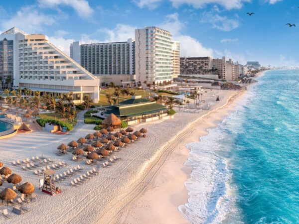Sunny beach resort with waves and birds flying