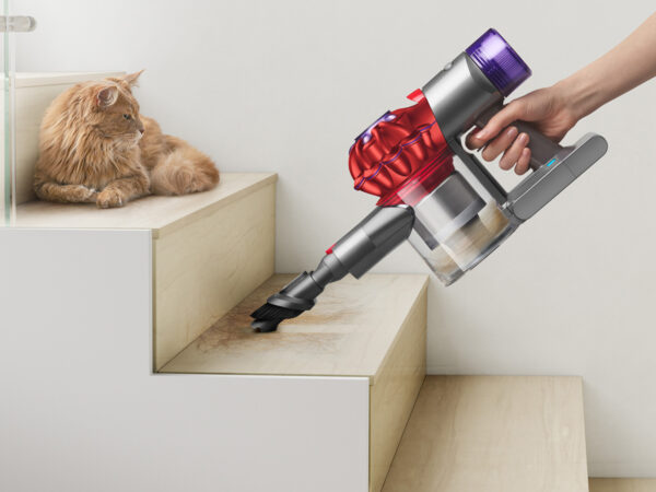 Hand vacuum cleans pet hair on stairs near cat