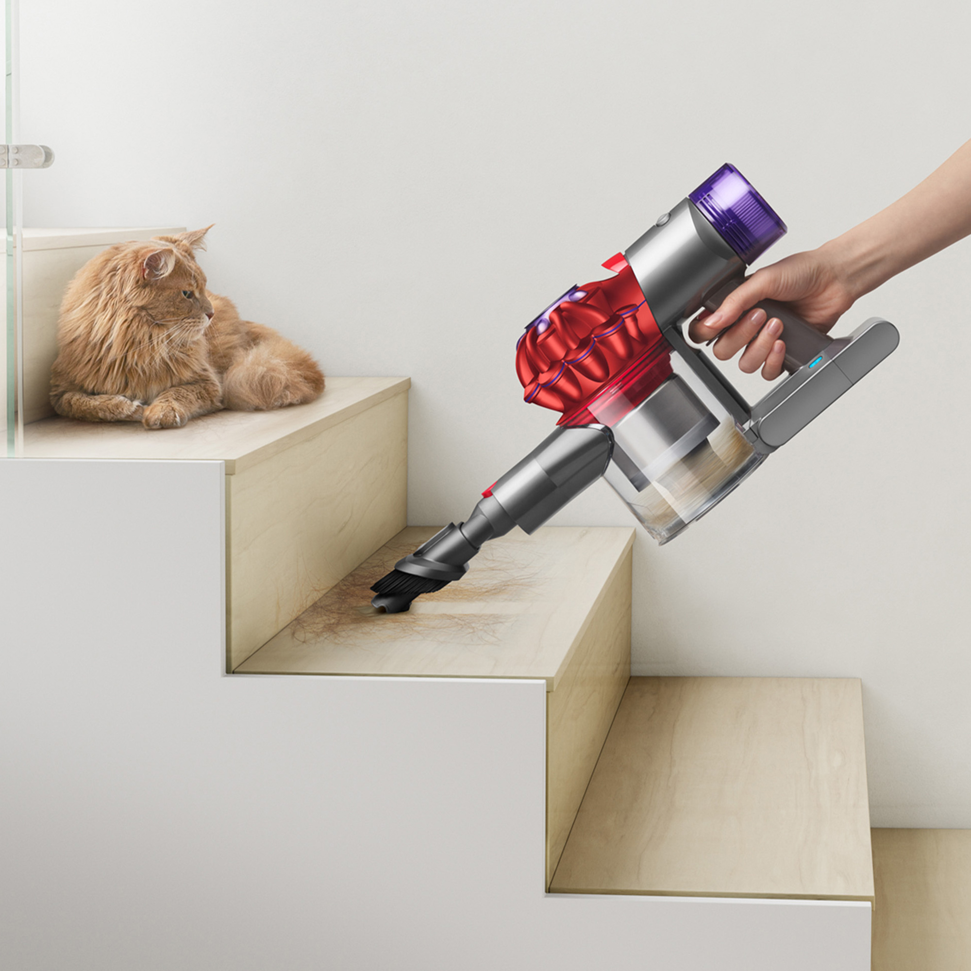 Hand vacuum cleans pet hair on stairs near cat
