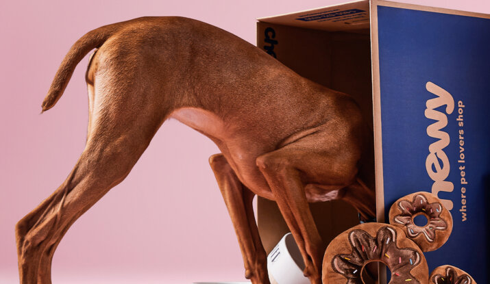 Brown dog with its head inside a blue and brown cardboard box next to two white food bowls and three brown plush donut toys on a pink floor with a pink background.