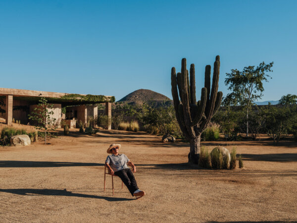 Person wearing a hat sitting relaxed on a chair outdoors in a desert-like landscape with a large cactus, sparse greenery, and clear blue sky during daytime.