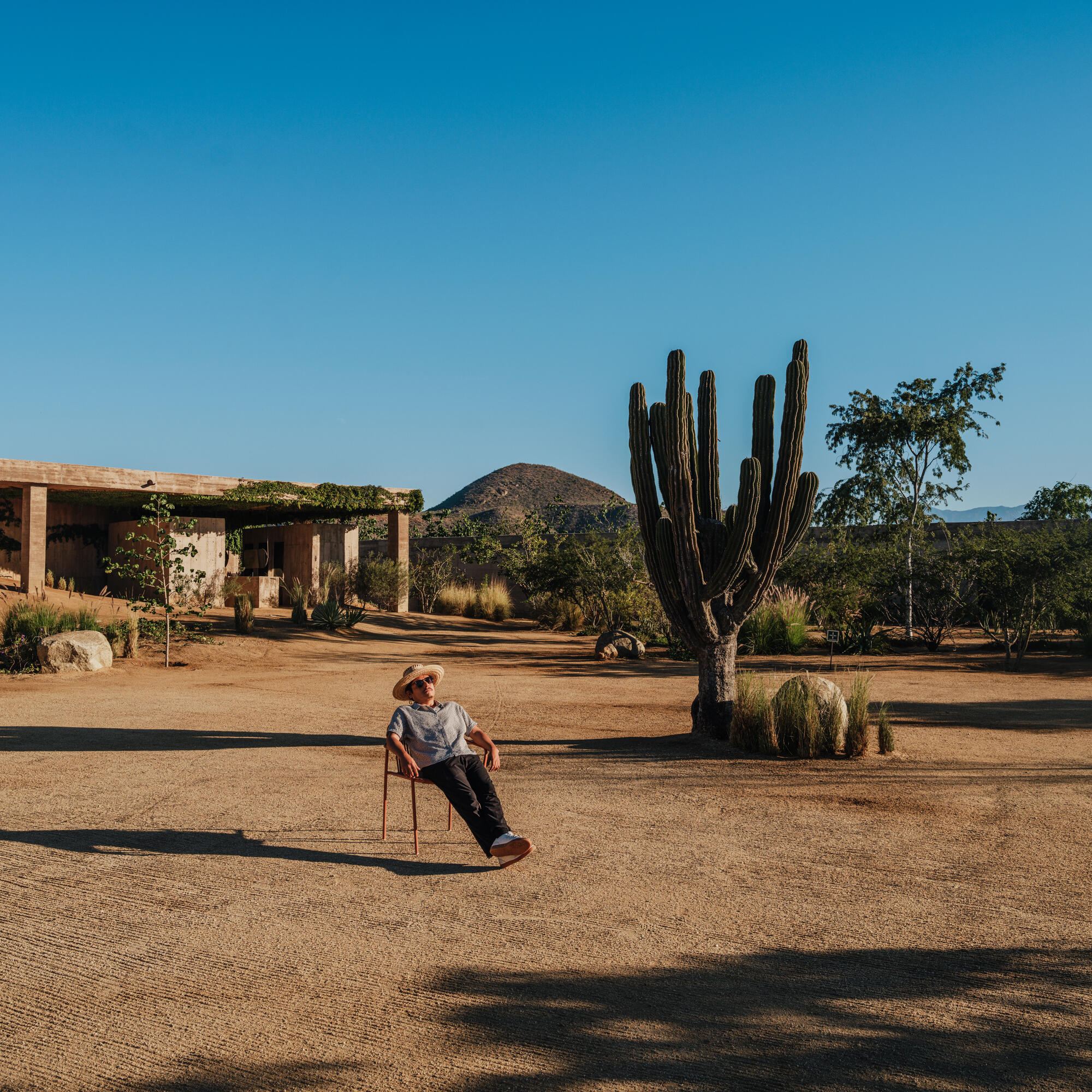 Person wearing a hat sitting relaxed on a chair outdoors in a desert-like landscape with a large cactus, sparse greenery, and clear blue sky during daytime.