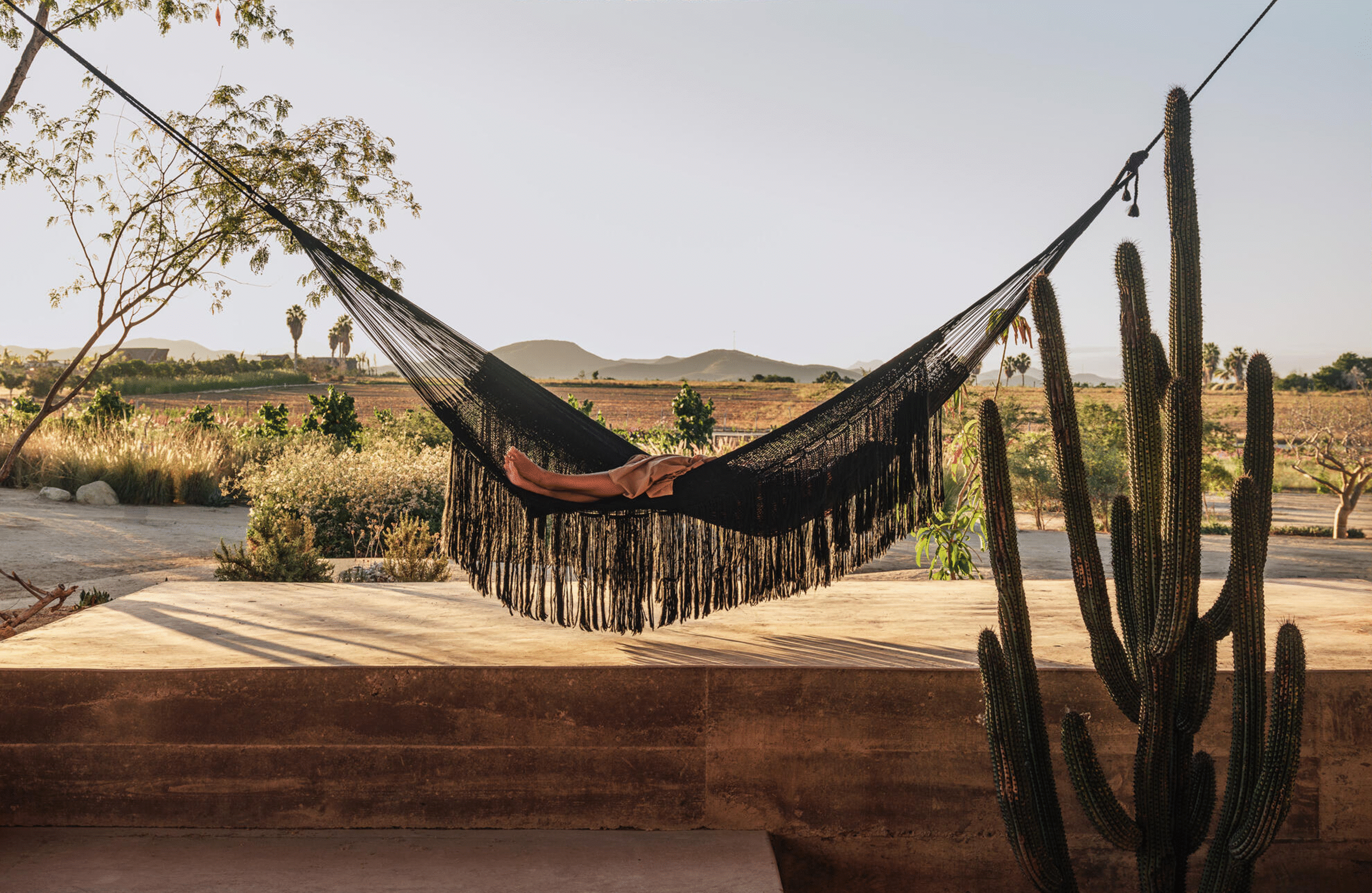 Person lying in a black hammock with fringe, stretched between a tree and a tall cactus, with dry plants and distant hills in the background under clear sky.
