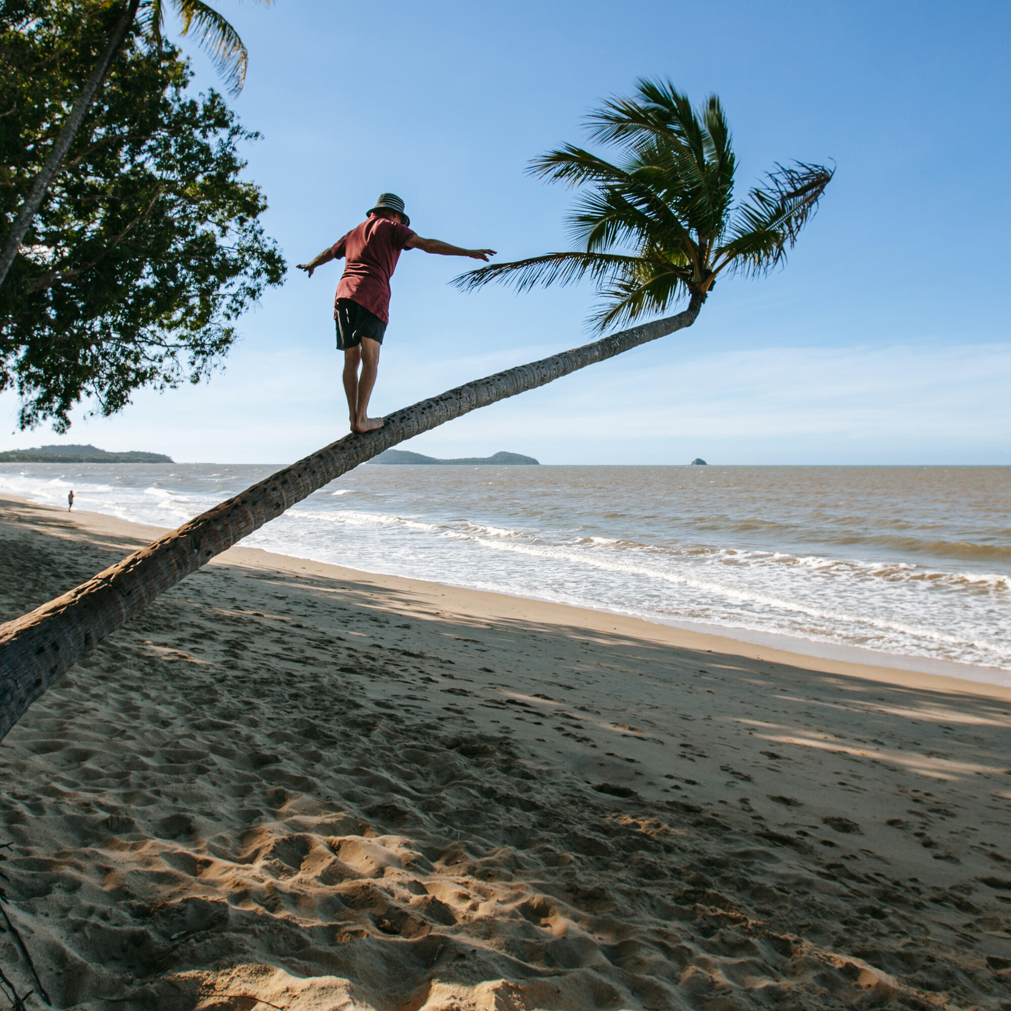 Person balancing barefoot on a leaning palm tree extending over a sandy beach with ocean waves and a clear blue sky in the background.