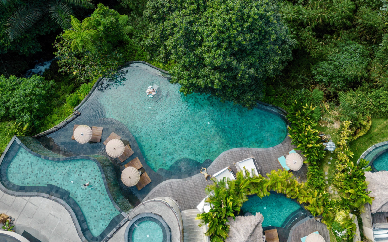 Curved pool surrounded by tropical greenery and lounge chairs